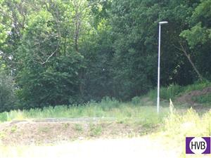 photo_10