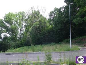 photo_2