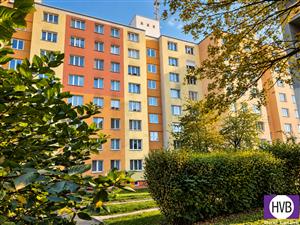 photo_1