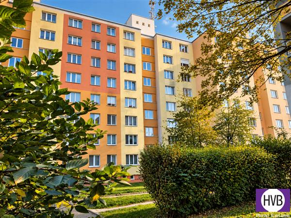 photo_1
