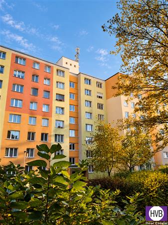 photo_13