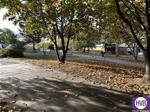 photo_7