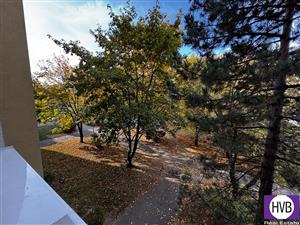 photo_6