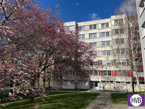 photo_9