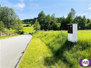photo_1