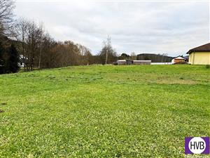 photo_5
