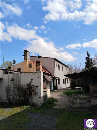 photo_3