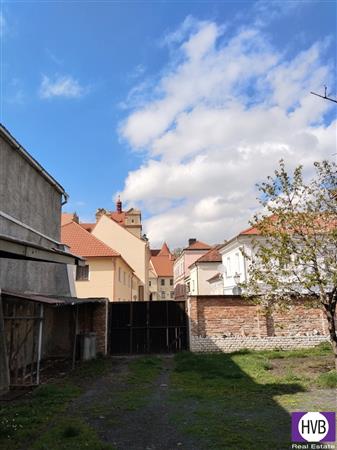 photo_4