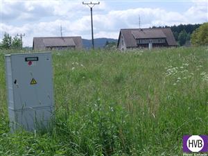 photo_1