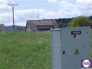 photo_4