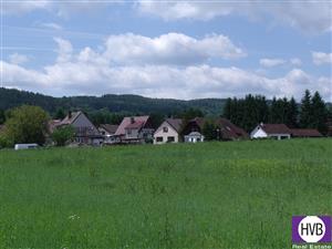 photo_6