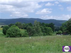 photo_7