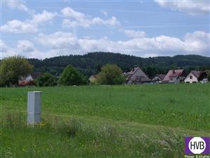 photo_9