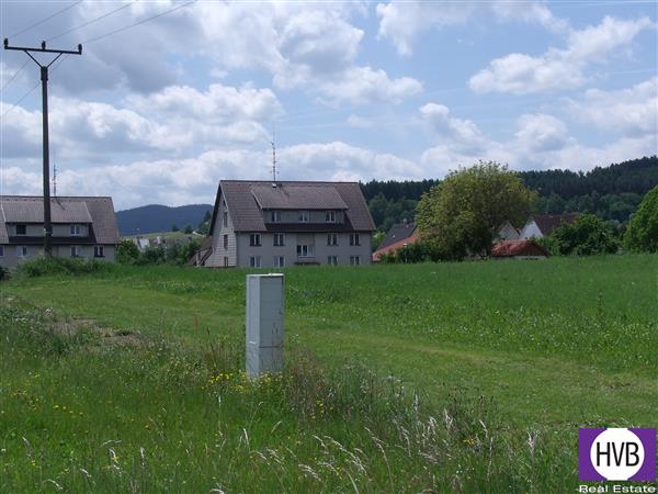 photo_5