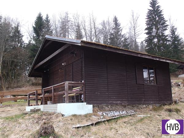 photo_2