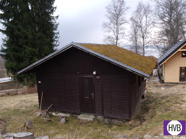 photo_8