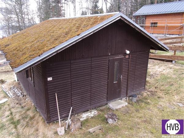 photo_9
