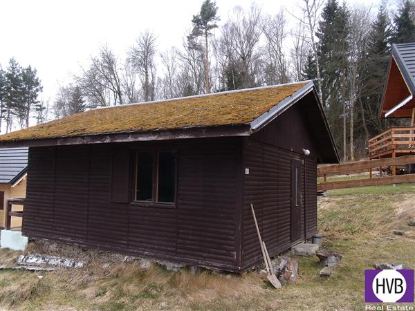 photo_10