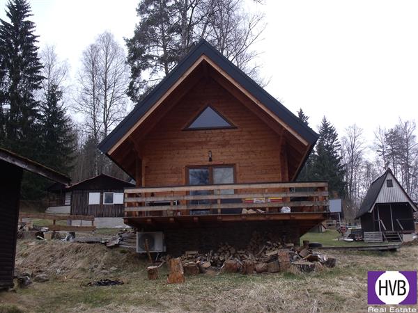photo_5
