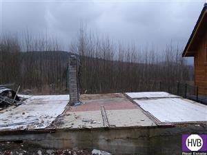 photo_4