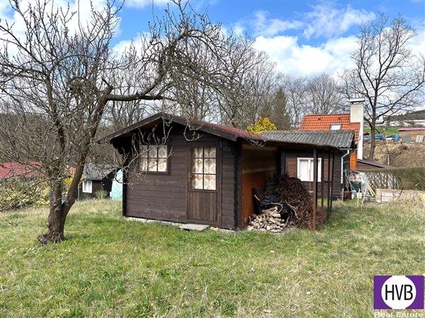 photo_1