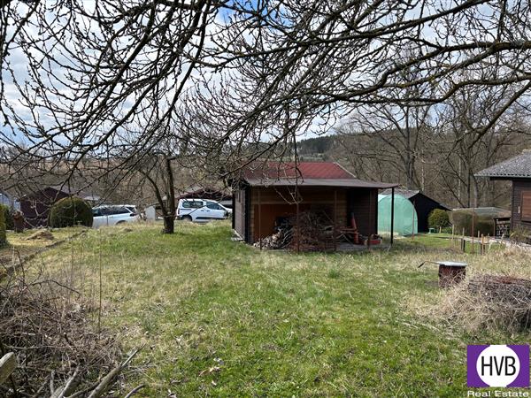 photo_5