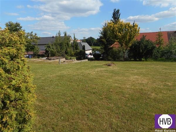 photo_4