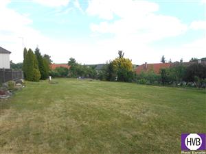 photo_8