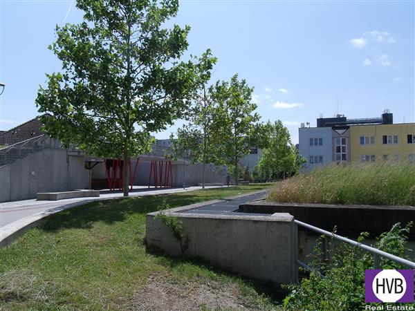 photo_11