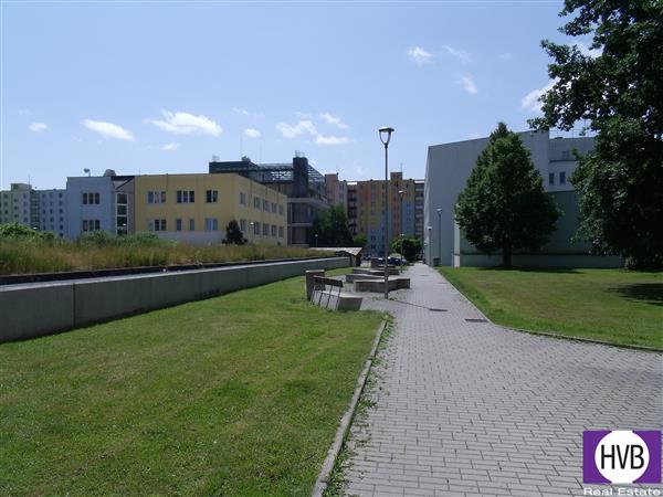 photo_12