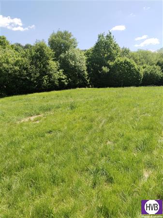 photo_4