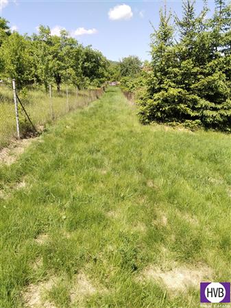 photo_5