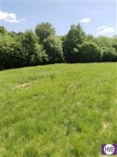 photo_3