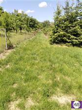 photo_5