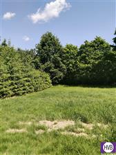 photo_6