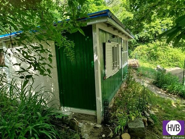 photo_6