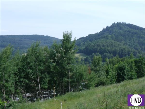 photo_7