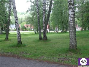 photo_3