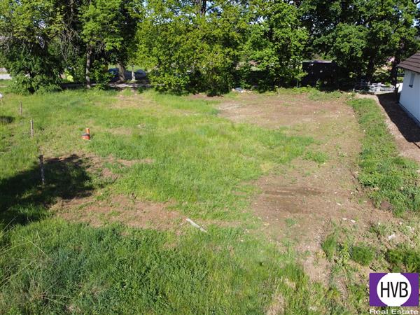 photo_5