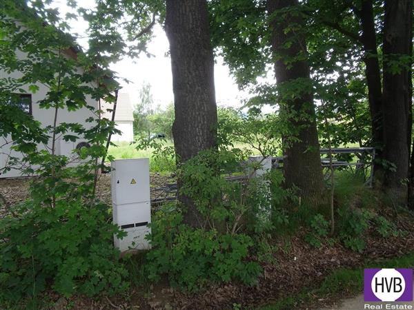 photo_11